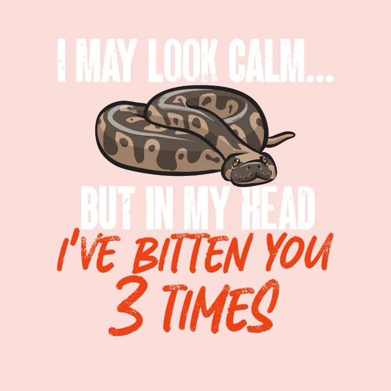 Ball Python Snake King Python