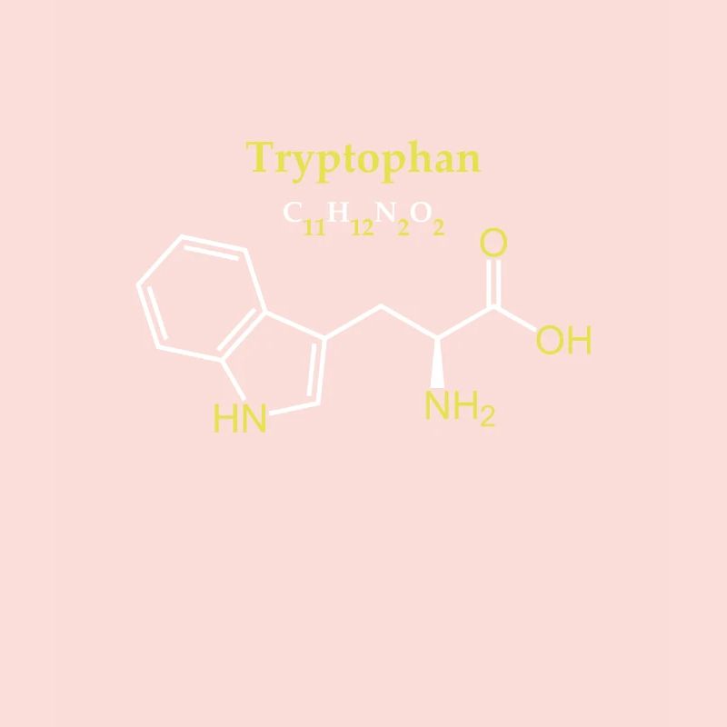 Tryptophane Molécule