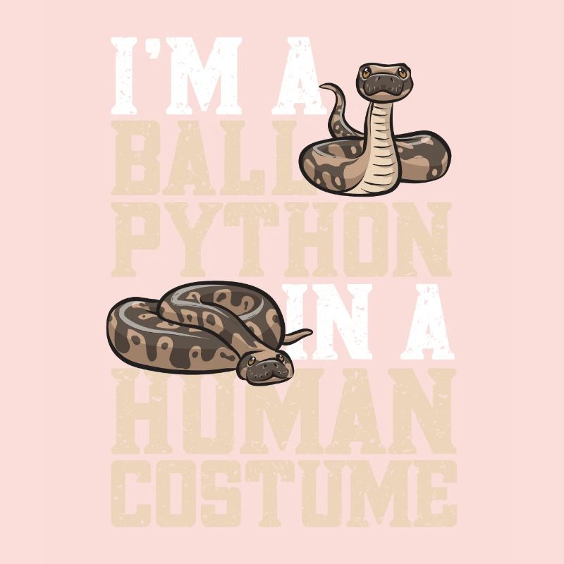 Ball Python Snake King Python