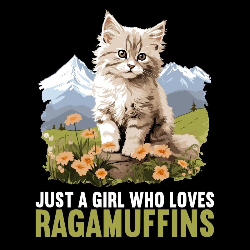 Ragamuffin Kätzchen Ragamuffin Katze