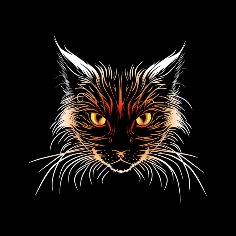 Tête de chat orange