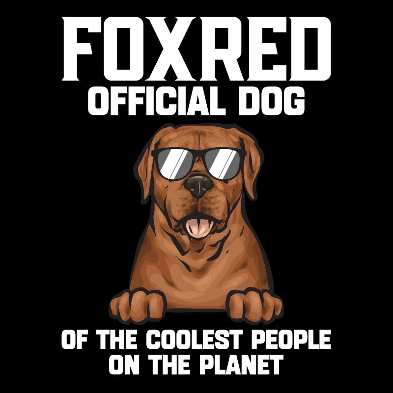 Fuchsroter Labrador Retriever Fox Red Labrador