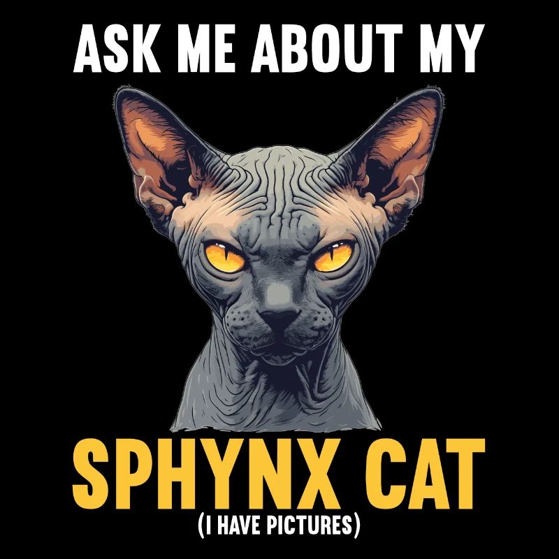 Sphynx Kätzchen Sphynx Katze