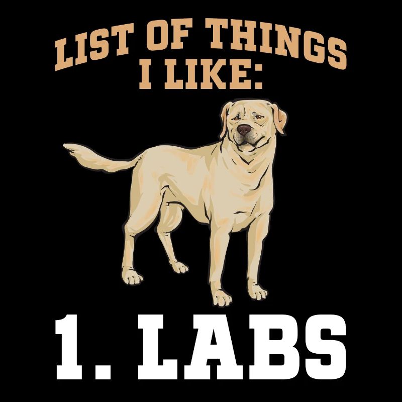 Labrador Retriever jaune
