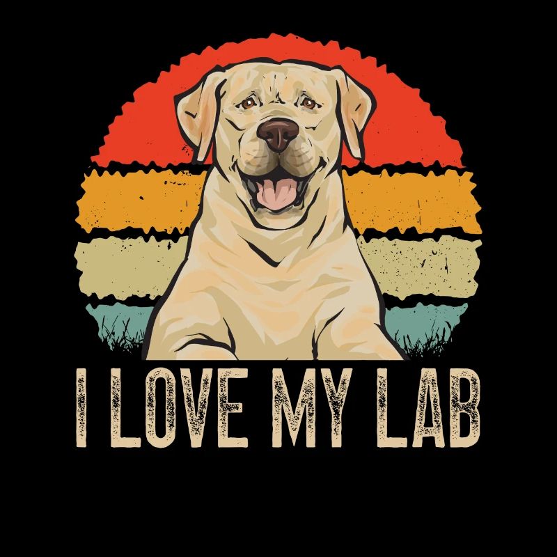 Labrador Retriever jaune