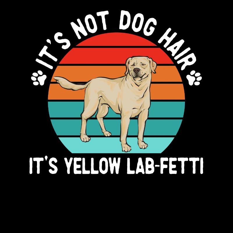 Labrador Retriever jaune