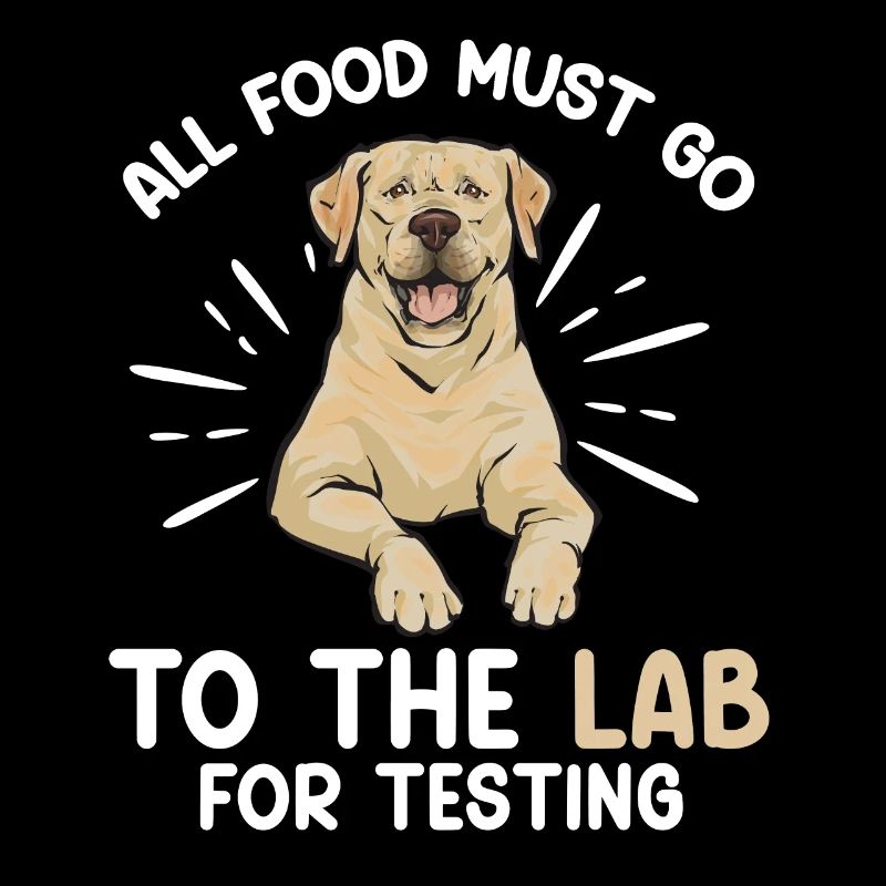 Labrador Retriever jaune