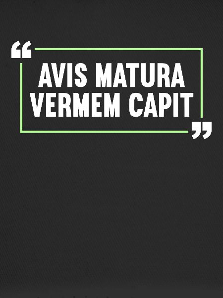 Latin Funny Latin Saying