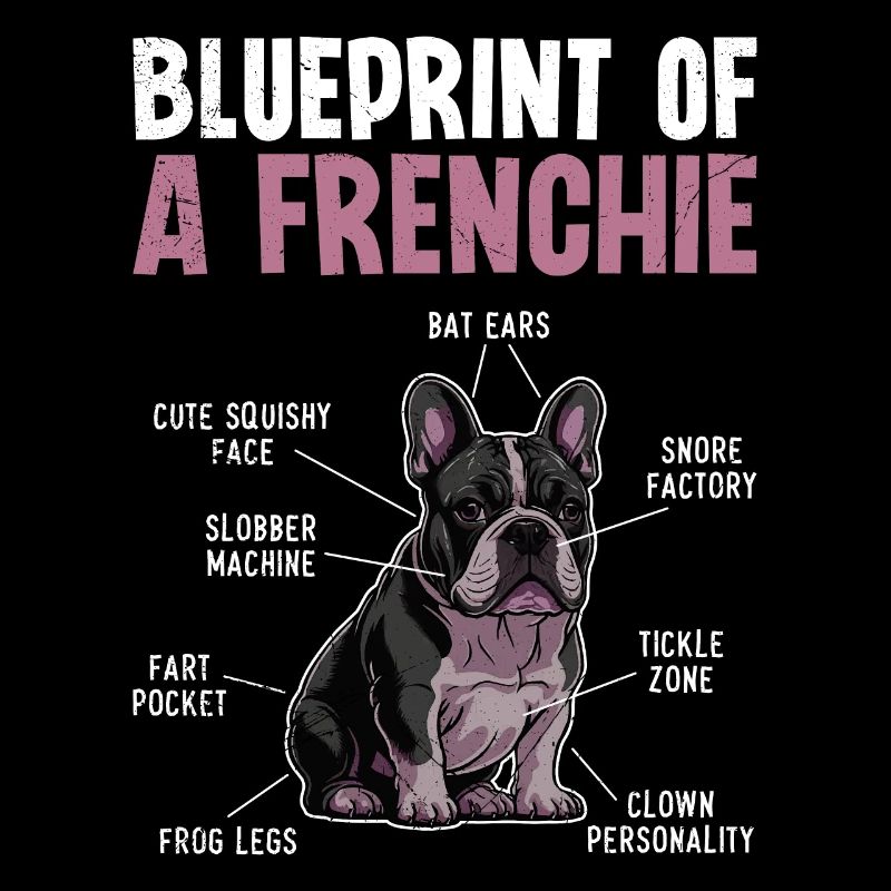 Bouledogue français Plan d’un Frenchie