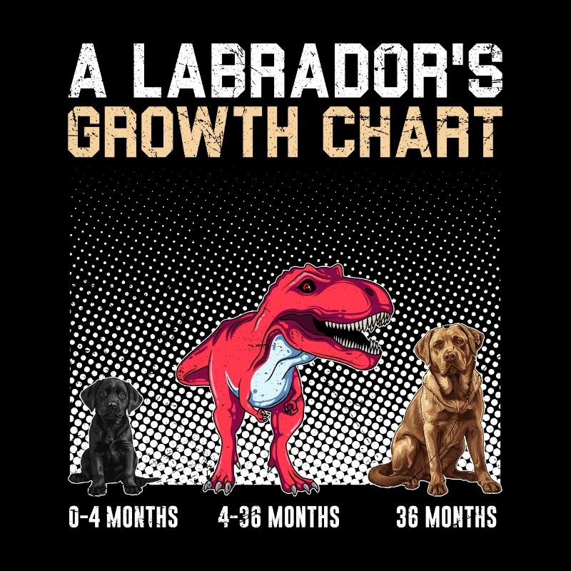 Labrador COURBE DE CROISSANCE Labrador Propriétaire Funny