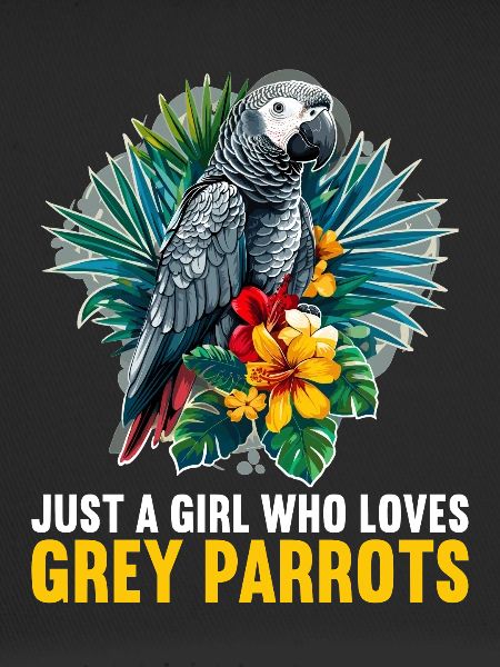 Perroquets gris d’Afrique