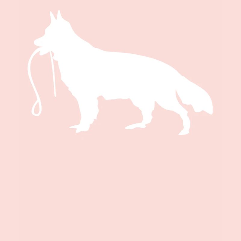 Shepherd Dog Leash German Shepherd
