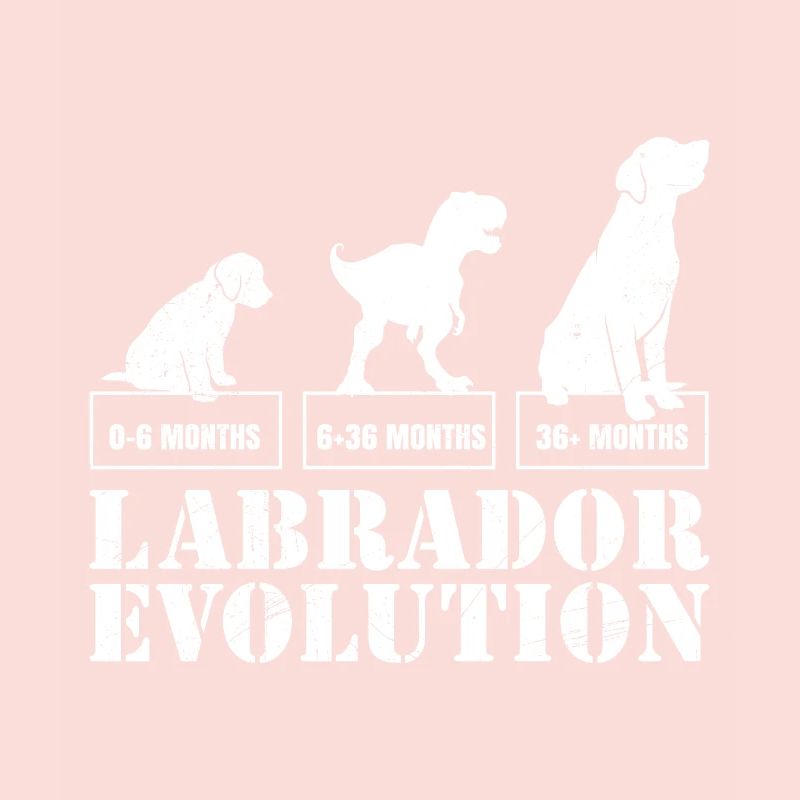 Labrador EVOLUTION Labrador Lover Drôle