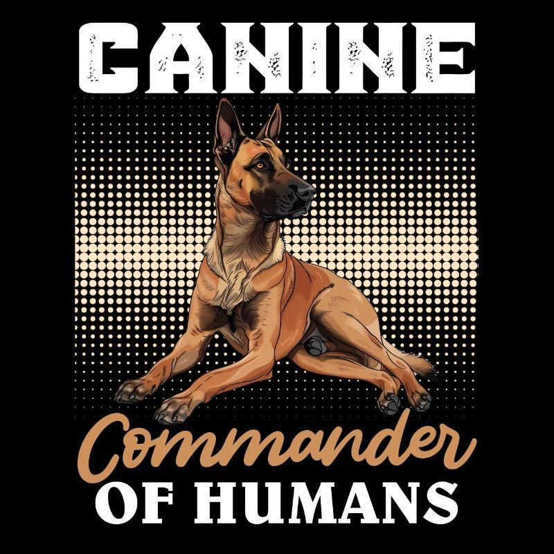 Malinois COMMANDANT CANIN DES HUMAINS Drôle