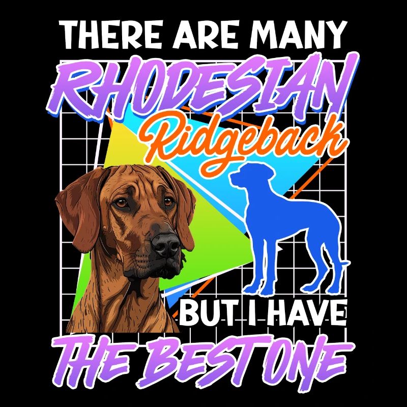 Ridgeback MANY RHODESIAN RIDGEBACKS BUT I HAVE THE