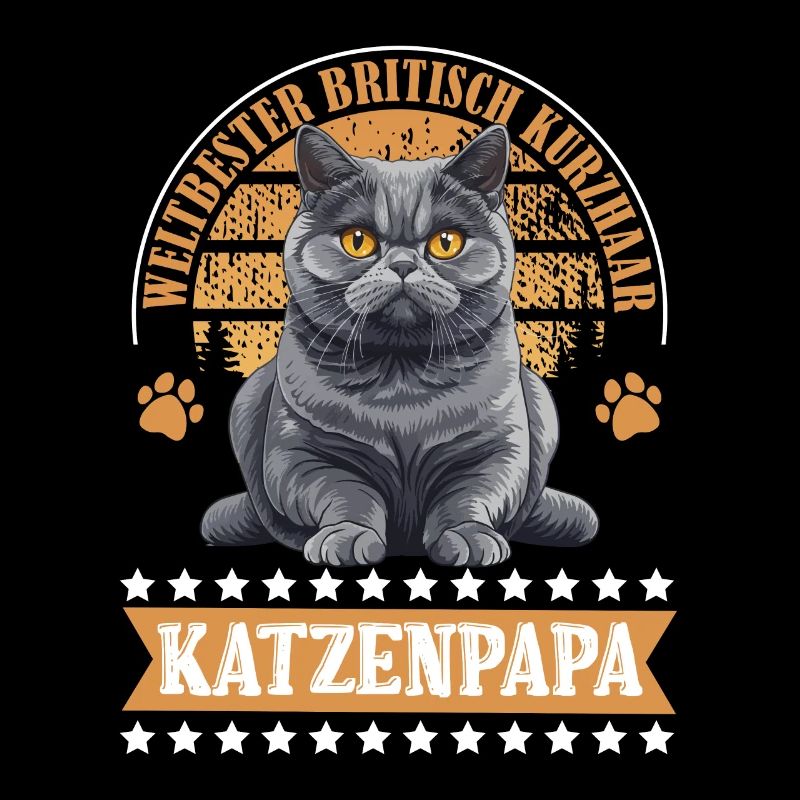 BRITISCH KURZHAAR KATZENPAPA Britisch Kurzhaar