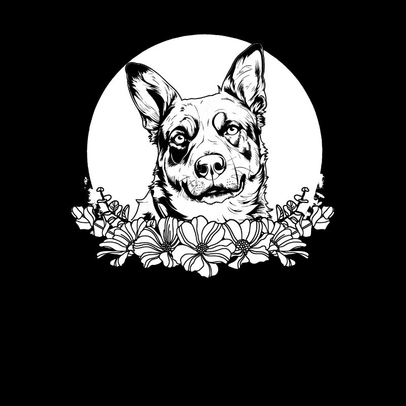 Fleurs sauvages de chien de bouvier australien