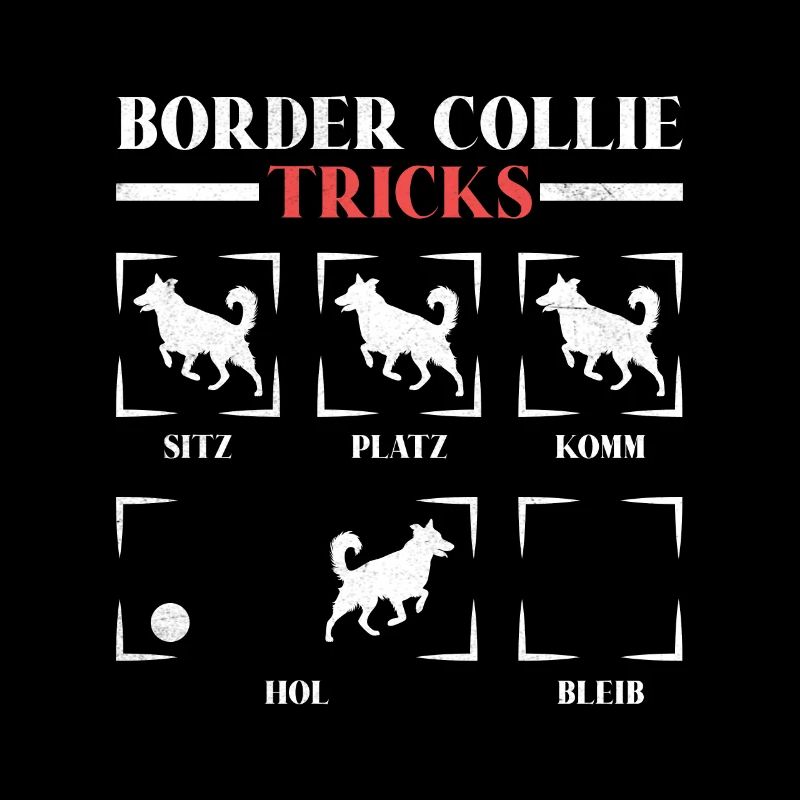 BORDER COLLIE TRICKS Sture Border Collie Hunde