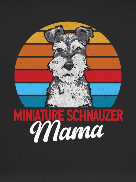 Miniature Schnauzer Dog Schnauzer