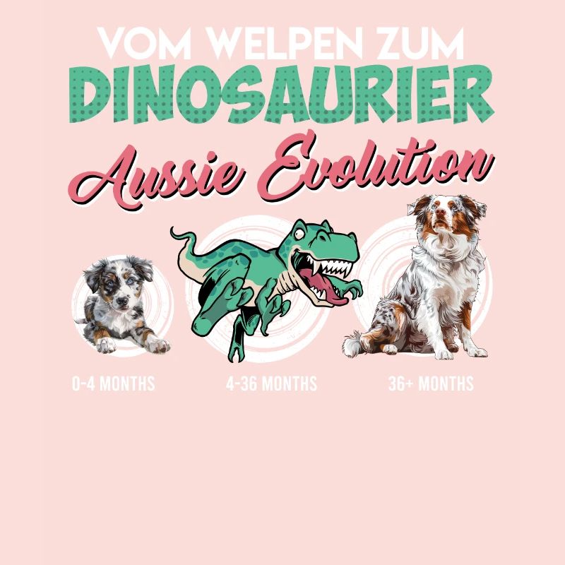 Aussie VOM WELPEN ZUM DINOSAURER AUSSIE EVOLUTION