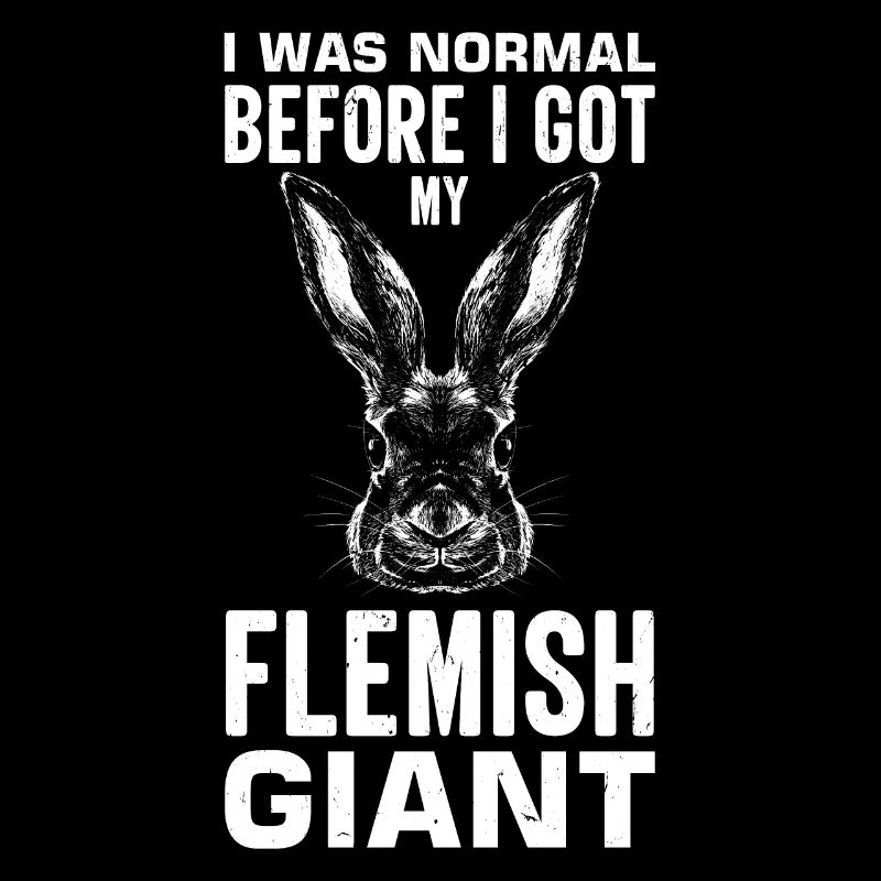 Flemish Giant Rabbit Rabbit Rabbit