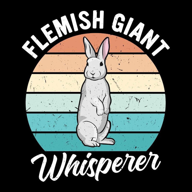 Lapin géant flamand Lapin Lapin