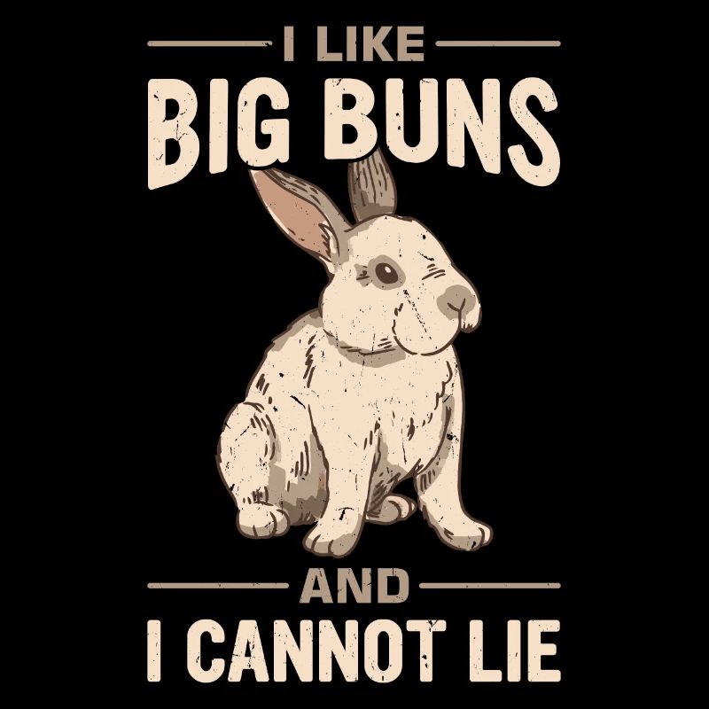 Lapin géant flamand Lapin Lapin