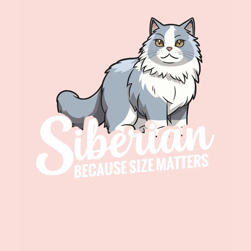 Chat sibérien : parce que la taille compte