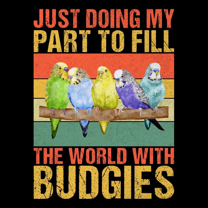 Budgie Gift