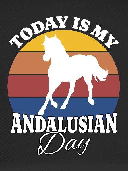 Andalusier Andalusian