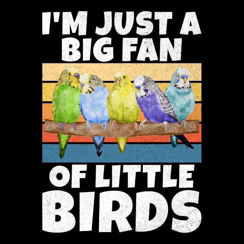 Budgie Gift