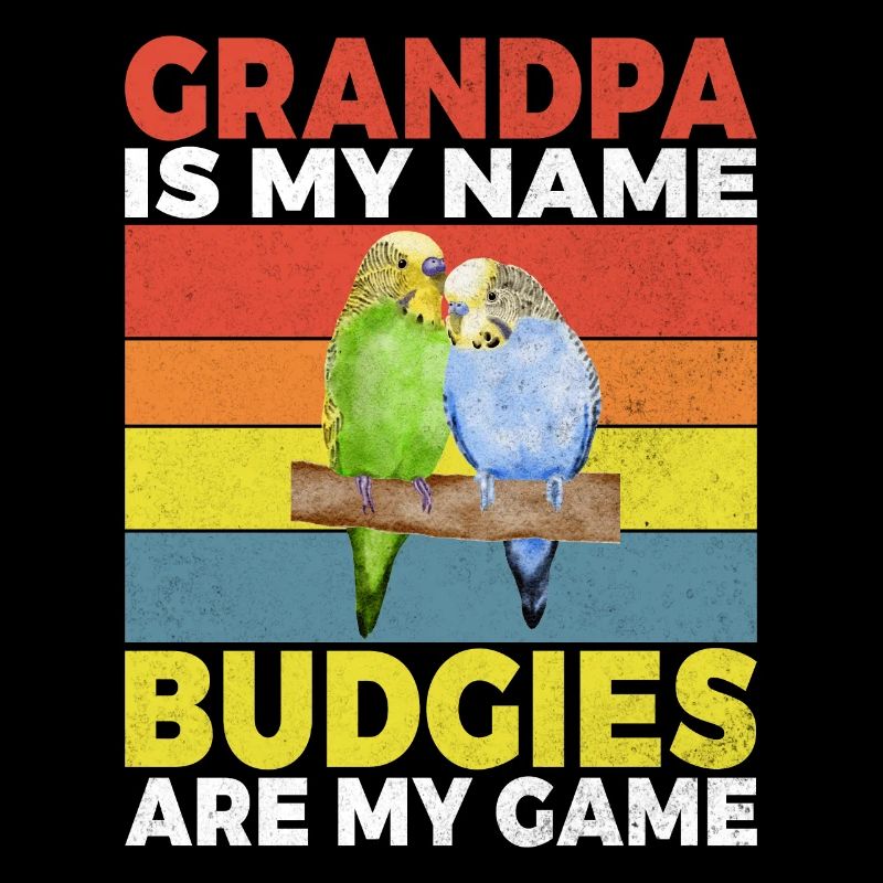 Budgie Gift