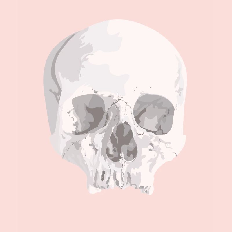 Skull Skull Skull Skeleton Bone