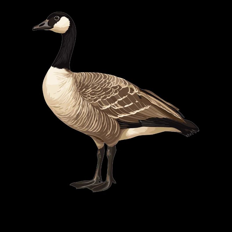 Gänse Gans
