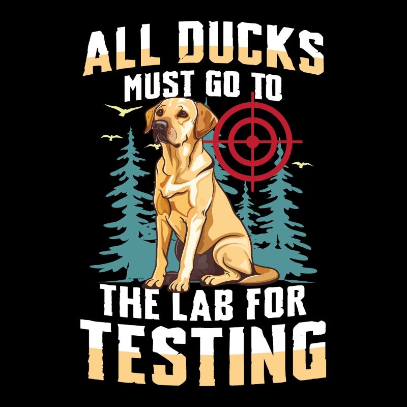 Chasse au Labrador