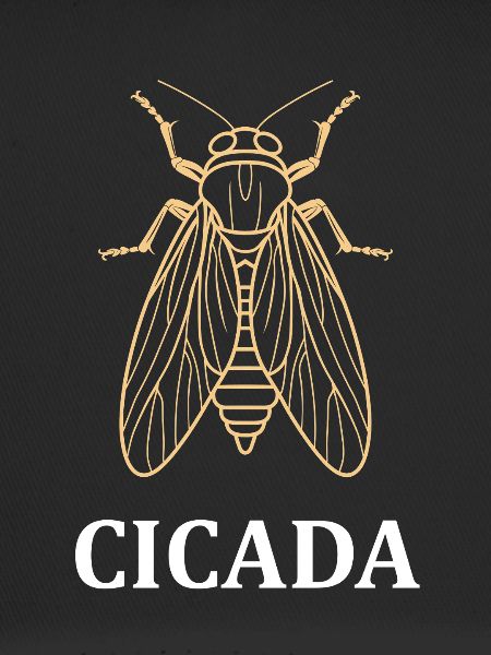 cigale