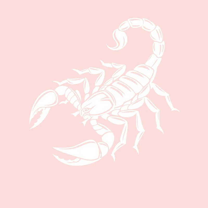 Scorpion - Poisonous Stinger - Species Conservation - Habitat