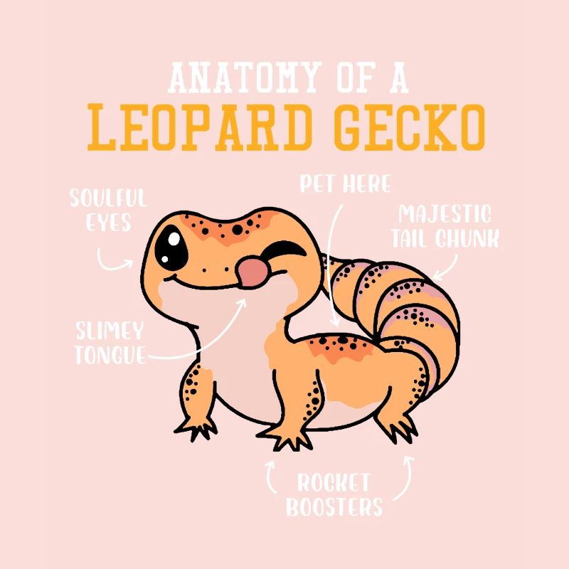 Drôle de conception de gecko léopard
