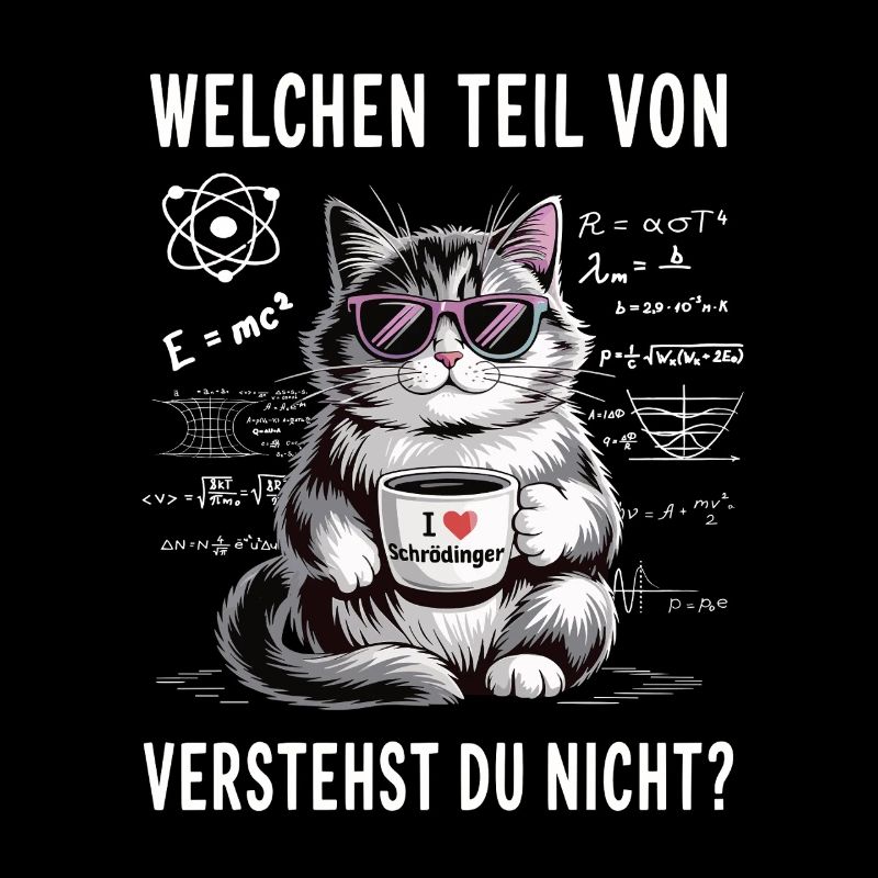 Welchen Teil von Quanten Physik vestehst du nicht