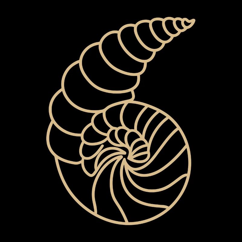 coquillage