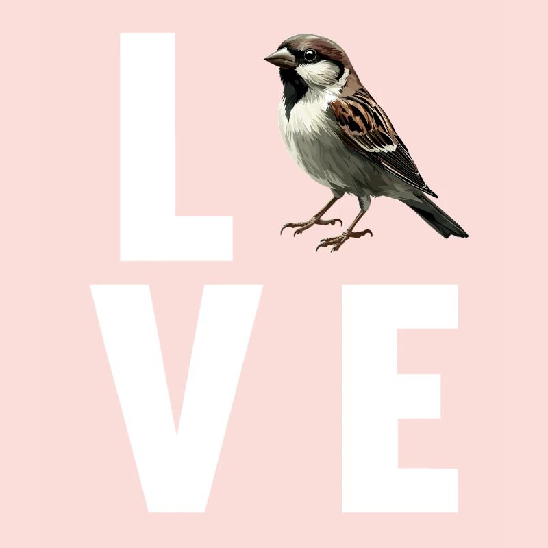 Sparrows Sparrow
