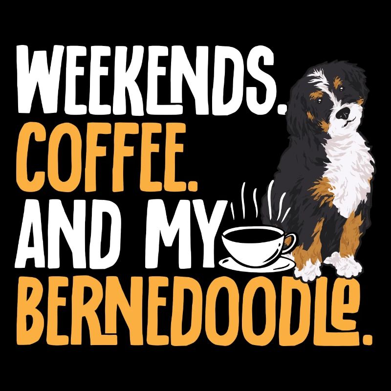 Bernedoodle Hund