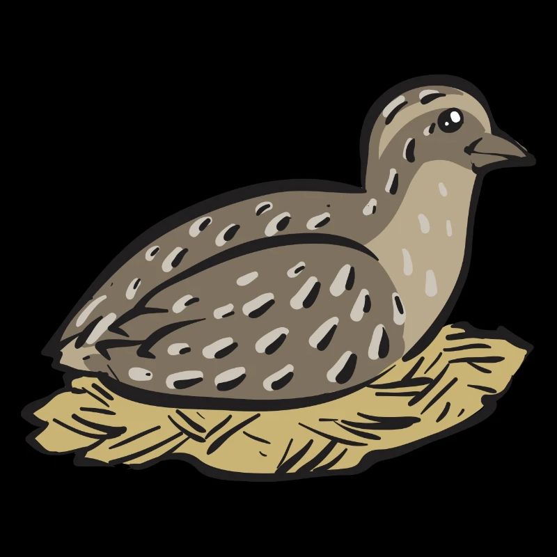 Wachtel Vogel