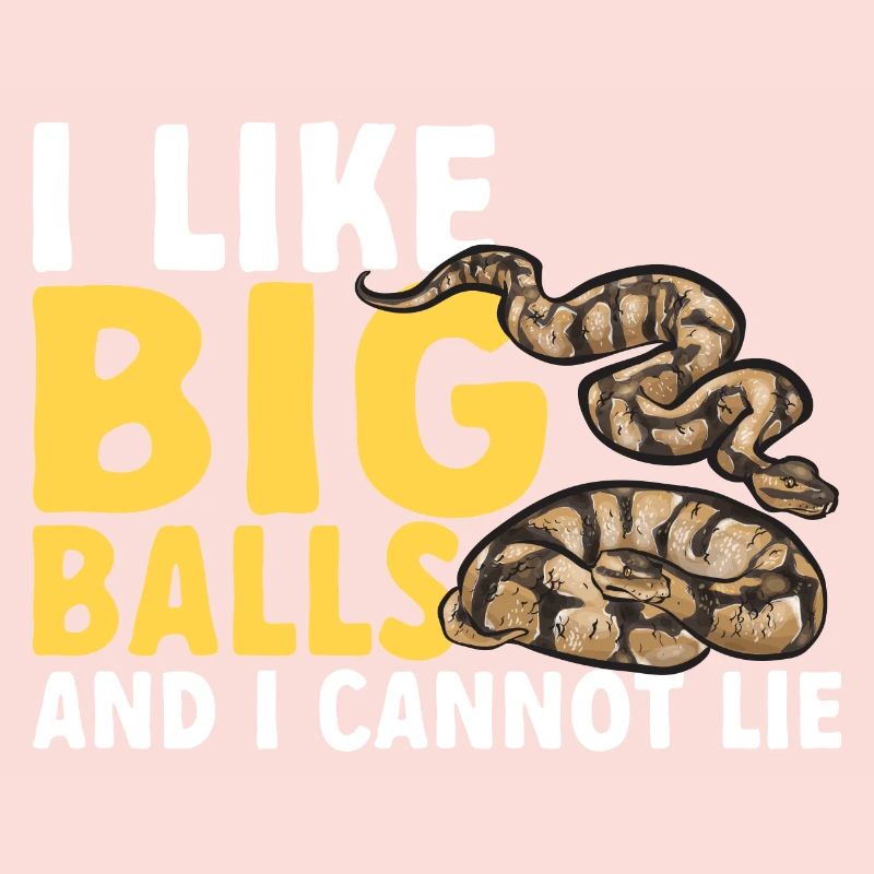 Ball Python Snake King Python