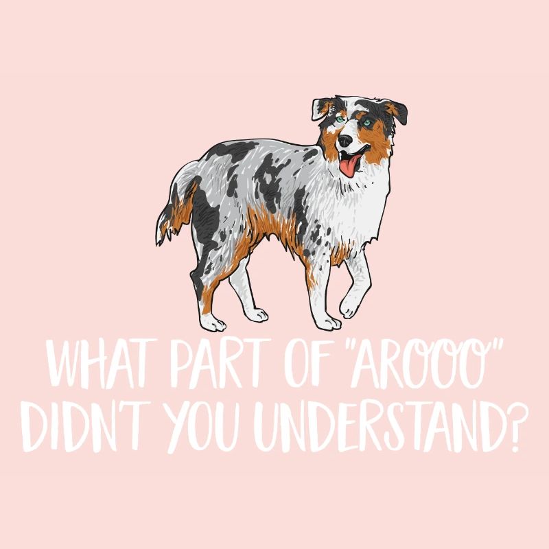 Miniature Australian Shepherd