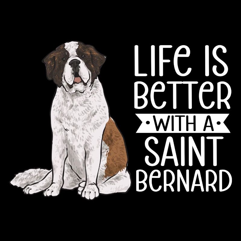 Saint-Bernard Chien Saint-Bernard