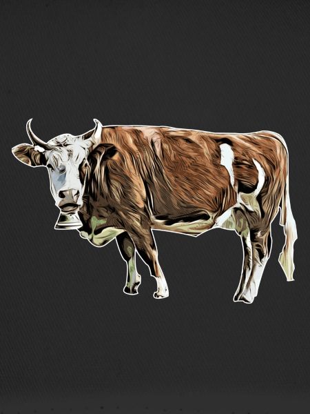 vache