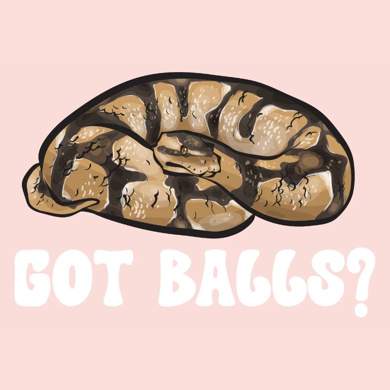 Ball Python Snake King Python