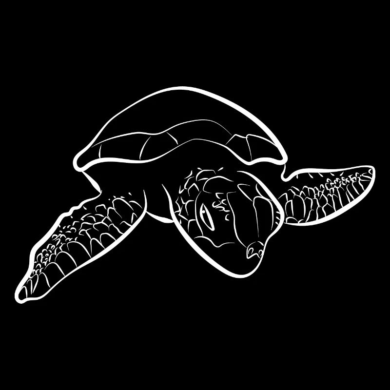 Turtle Turtle