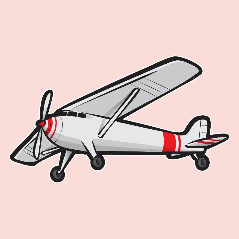 Modèle d’avion télécommandé